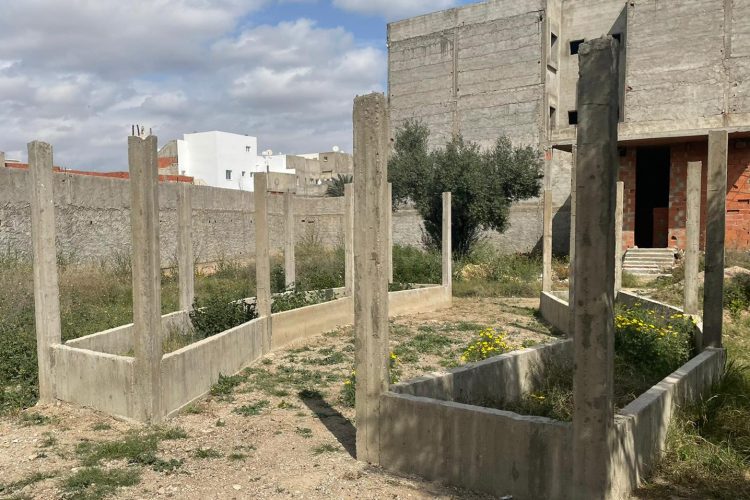 In der Mitte zwei bepflanzte Gartenbeete aus Beton. Dahinter ein Olivenbaum. Im Hintergrund ein Haus mit einer grauen Betonmauer.